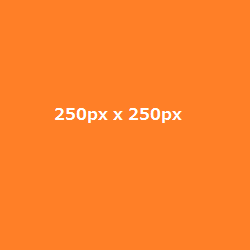 幅「250px」高さ「250px」のオレンジ色の画像
