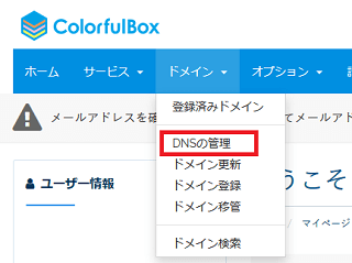 カラフルボックス DNS設定