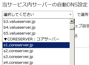 自動DNS設定
