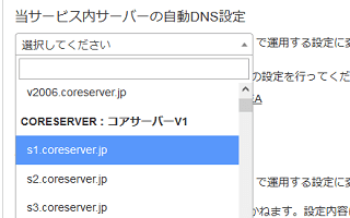 自動DNS設定