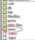 さくらインターネットの「www」フォルダ